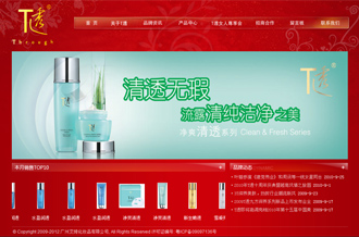 企業(yè)官網(wǎng)設(shè)計(jì)制作