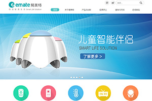 企業(yè)官網設計制作