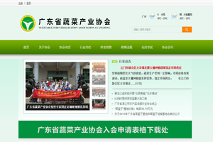 機(jī)構(gòu)、商會(huì)、協(xié)會(huì)網(wǎng)站建設(shè)方案_機(jī)構(gòu)、商會(huì)、協(xié)會(huì)網(wǎng)站建設(shè)方案