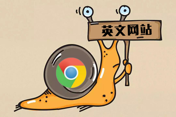 專業(yè)做網(wǎng)站公司
