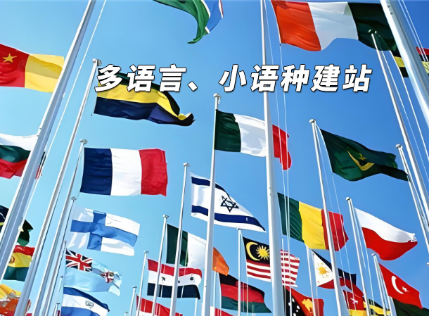 多語(yǔ)言網(wǎng)站建設(shè)